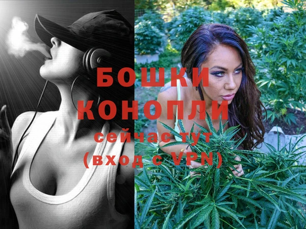 СК Кодинск