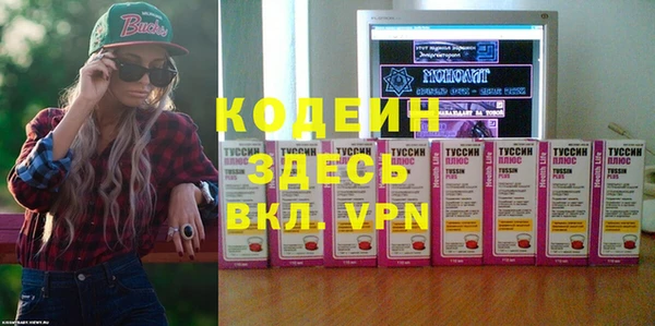 СК Кодинск